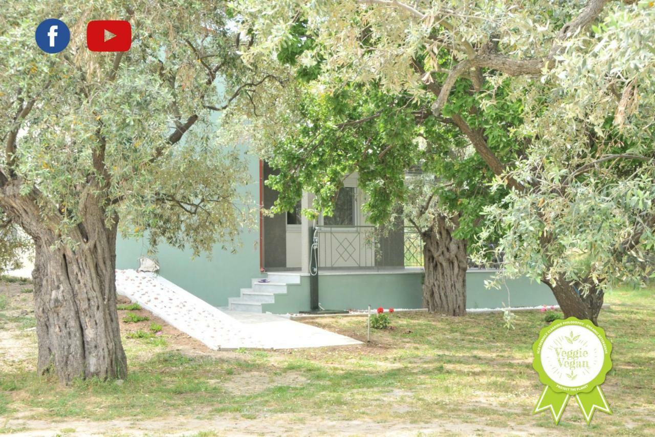 Villa "Elaeda Evdokia" Prínos 外观 照片